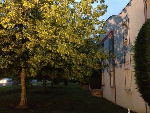 Europarc Otel Disneyland Paris Dış mekan fotoğraf